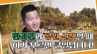 반려견과 공원 산책할 때 이거 모르면 큰일납니다! -북서울 꿈의 숲 2부