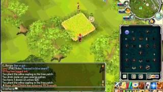 Farming Guide 2012 Tree Patches Runescape