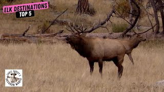 Top 5 Elk Hunting Destinations