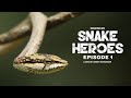 Snake Heroes Ep 1: How did you become interested in snakes