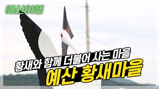 황새와 함께, 친환경 농사와 각종 체험까지~ 예산 황새마을