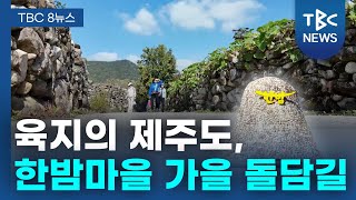 육지의 제주도, 한밤마을 가을 돌담길ㅣTBC영상뉴스