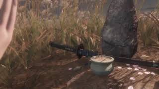 【SEKIRO】んなぁ～、為すべきことを為さねば65周目(不3修6竜26人22苦難7)