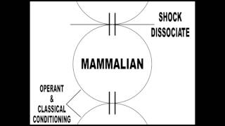 Learn about Eastern Medicine and Energy Psychology