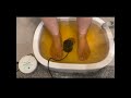 foot detox skincare pedicure clean detox