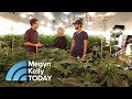 How Legalized Marijuana Is Changing One California Town | Megyn Kelly TODAY