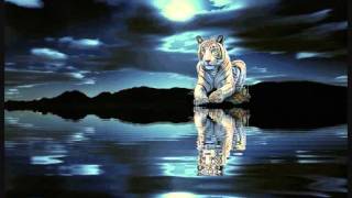 Film - animatie dieren...wmv