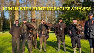 Falconry: Goldies and Redtails take on formidable mid winter hares.