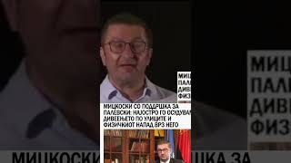 Како Мицкоски го брани Палевски - Втор дел