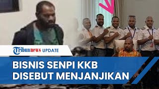 Motif Anton Gobay Selundupkan Senjata Api Ilegal ke KKB, Polri: Peluang Bisnis Sangat Menjanjikan