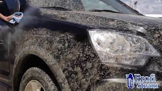 Jak na mytí auta suchou parou – PROFI STEAM - Profi 7300SV Car Wash