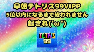 《視聴者参加型》早朝配信【テトリス99 VIP】5位以内になるまで終われません（8/19）