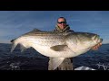 Striper fishing with a 2-Time State Record setting Catfisherman. 100lb Catfish to 50lb Stripers.