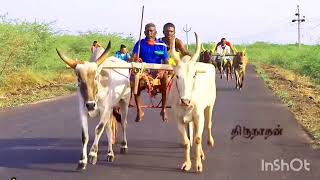 புளியங்குளம் சின்ன மாட்டு வண்டி பந்தயத்தில் முதல் பரிசு லம்பாடி மீண்டும் களத்தில்👑/ஸ்ரீதுர்காம்பிகா