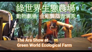 The Ara Show at Green World Ecological Farm, Beipu, Hsinchu, Taiwan