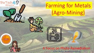 Agro-Mining and Phyto-Remediation: A Comprehensive Overview (10 Minutes)