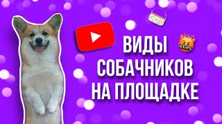 ВИДЫ СОБАЧНИКОВ НА ПЛОЩАДКЕ🐾Корги Рокки (говорящая собака)