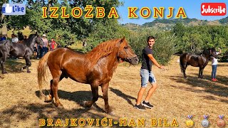 IZLOŽBA KONJA- BRAJKOVIĆI, Posjetioci se UHVATILI U KOLO| NASTUP AMELE ZUKOVIĆ