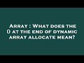 Array : What does the () at the end of dynamic array allocate mean?