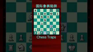 【国际象棋陷阱】【26】双马防御（Chess Traps）