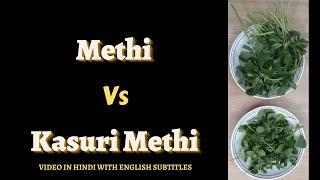 Methi Vs Kasuri Methi | मेथी और कसूरी मेथी में अन्तर | Everday Life #249