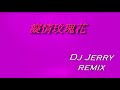 癡情玫瑰 dj jerry remix underlover