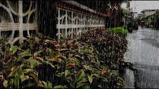 [Rain Sound] Heavy rain in pedestrian compound relieves stress and relieves insomnia