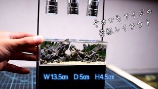 green aquarium 手のひらサイズの岩組レイアウト作ってみた。