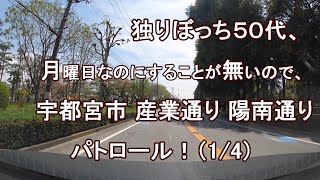 独りぼっち５０代、月曜日なのにすることが無いので、宇都宮市 産業通り 陽南通り パトロール！？（1/4）