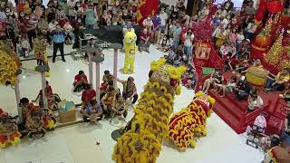 lion dance 2023(3)