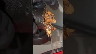 Clearing A Clogged Garbage Disposal Shorts