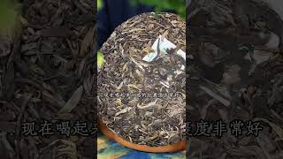 普洱生茶如何选择？普洱生茶可以长期喝吗？#普洱茶 #茶知识 #茶道 #中国茶文化 wechat: zcj049