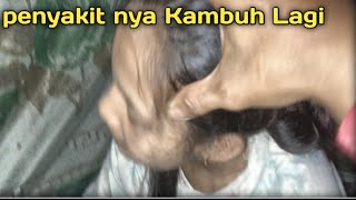 Manjain Istri KETIKA Dia Lagi KeleLahan