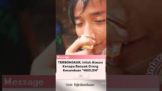 TERBONGKAR, Inilah Alasan Orang Kecanduan NGELEM #info #health #edukasi