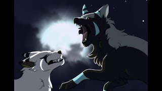 Serious wolf fight animation