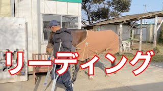 リーディング・引き馬【乗馬・馬術】Leading horse【HorseCommunicationJapan】