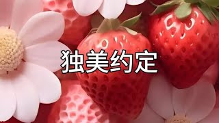 矢✔️忽✔️《独美约定》