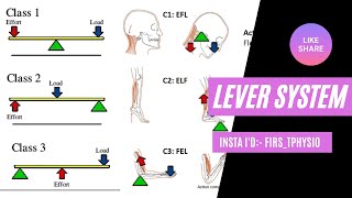 LEVERS OF THE BODY