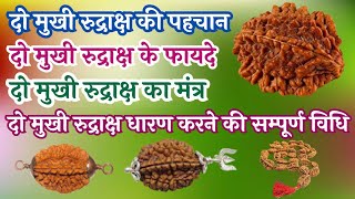 Do Mukhi Rudraksha Ke Fayde | Do Mukhi Rudraksha Kaisa Hota Hai |दो मुखी रुद्राक्ष धारण करने की विधि