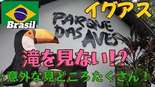 【ブラジル旅行】♯1_イグアスの滝、鳥パークParque das Avesと地球の裏側の美味しい日本食を大満喫！サンパウロお出かけ