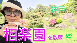 神戸·相楽園でリラックス♪美しい日本庭園☆!　#神戸 #風景 #リラックス #観光 #のんびり #vlog