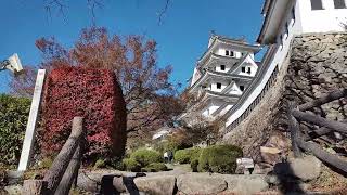 郡上八幡城　もみじ祭り