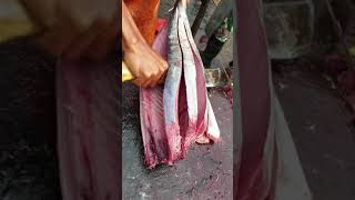 Brother Mustakim's technique of cutting baby tuna #shorts