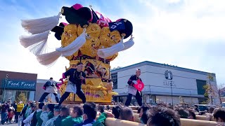 2023.3.4 愛媛県今治市イオンモール今治新都市にて 野口、上本郷太鼓台