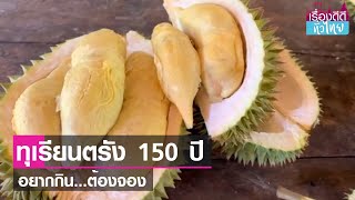 เปิดสวนชิมทุเรียนพื้นเมืองตรัง อายุ150 ปี    | เรื่องดีดีทั่วไทย | 2-6-66