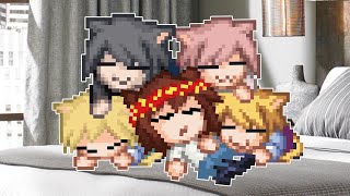 Necos gather on a comfy bed