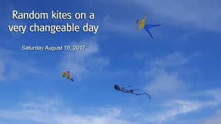 Random kites on a very changeable day - and some more new fliers.  Aug 19, 2017