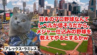 【アレックス・ラミレス】日本プロ野球はレベルが低い！？日本国籍を取得したメジャーリーガー #猫マニ #猫ミーム