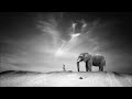 ten walls walking with elephants original mix