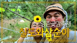 #양촌곶감축제#칠도와삼순이#깡통#고하자#양푼이#향기#달마#12월10일 토요일🌻🌻🌻